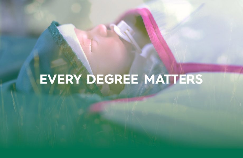 Bild Jetzt online: Unsere Produktseite